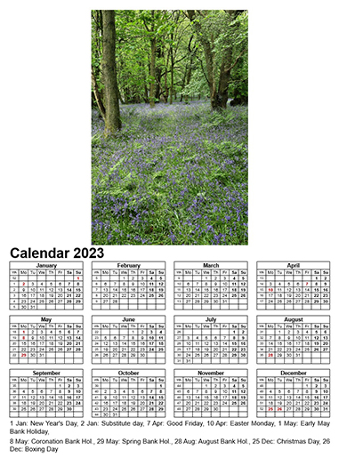 Year Calendar 2023 - Bluebells, Haining Wood, Whitecross Calendar